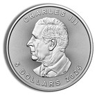 2025 Silver  5 Silver Canadian Maple Leaf 1 Oz Brilliant Uncirculated