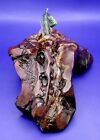 Rainbow Trout Cast Pewter Sculpture Signed By The Artist Les Douglas