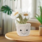 Apricot Lamb Soft Daisy Plant Plush Toy  Stuffed Green Pot  Kawaii Plushie    