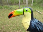 Toucan Bird Statue Figure Metal 13    X 16    Sculpture Art Tropical Home Decor New