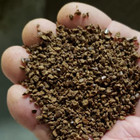Planet Turf Tea Seed Meal - All Natural  Plant Safe