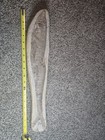 Vinctifer Comptoni Fossil With Excellent Preservation 18 Inches 