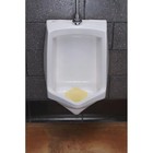 Citrus Scent Wave 3d Deodorizer Urinal Screen  Yellow  10-box 