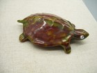 Naughty Anatomically Correct Female Turtle With Faux Diamond Eyes Adult Humor