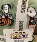 Peanuts Snoopy Woodstock Fall Pumpkin Apple Tree Green Plush Throw Blanket 60x70