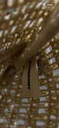 Burberry Goddess Crocheted Open Weave Natural Paper Straw Tote Shoulder Bag Nwot