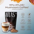 Atlas  Coffee Superblend    Instant Mushroom Coffee With Lion   s Mane Exp 2027