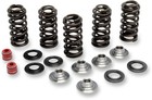  Kibblewhite Precision Valve Spring Kit 80-80066 Oem Replacement 53-0886