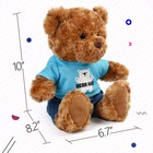 10   Teddy Bear Plush Toy Stuffed Animals Christmas Gift Plushies Toys Dolls