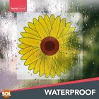 16pk Fly Trap Window Stickers   Sticky Sunflower Insect Bug Flies Killer Catcher