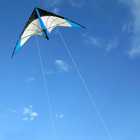 48 Inch Dual Line Stunt Kite Blue Professional Flying Kite With Handles And Line