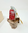 Watts 174a   174a Relief Valve New