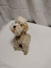 Vintage Steiff Poodle Snobby Fully Jointed No Ear Tag Or Collar