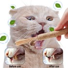 Natural Silvervine Sticks For Cats Kittens Teeth Cleaning  Catnip Chew Toys