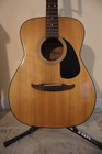 Fender Avalon Natural Vintage Acoustic Guitar-with Hard Case As Shown
