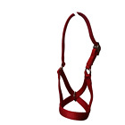 Cow  Bull  Yearling  Calf  Newborn Cow Halter Usa Made With Lead Made Local