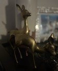Mcm Large Brass Deer Pair 12 5      9 75    Vintage Hollywood Regency Cabin Decor