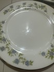Lot Of 3 Mt Hira Fine China 6-3 8    Salad Plates Hampton Blue Floral 2010