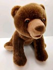 Kohl s Cares Eric Carle Realistic Brown Bear 15  Plush Stuffed Animal Toy 