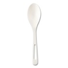 World Centric Sppsr Plastic Spoon Tpla Cutlery - Light Beige  24 pk  New