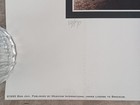 Bon Jovi  crossroad    1994 Poster   Print   Lithograph -  10 Proof