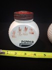 Vtg Fire-king Vitrock Red Flower Salt And Pepper Shakers Milk Glass Uranium Glow