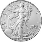 2025 American Silver Eagle 1 Oz  1 1 Roll Twenty 20 Bu Coins In Mint Tube