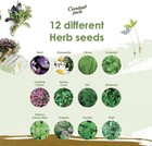 Grow Your Own Herbs Garden Kit - 12 Herb Seeds Variety Pack - Basil  Mint  Rosem