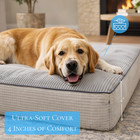 Soft Orthopedic Dog Bed  Elevated 4  Cushion - Machine Washable