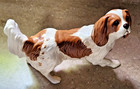 Royal Doulton Bone China Figurine Brown White Springer Spaniel Dog Hn 2517