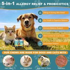 Dog Allergy Chews dog Is Human Multivitamin Itch Relief anti Itch 180 Chews   Qu