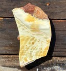 Willow Creek Jasper Rough Slab Lapidary Cabbing Display