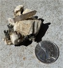 Aegirine Specimen On Microline Matrix W  Smoky Quartz  Phantoms