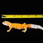 Bandai Leopard Gecko Tangerine Diversity Of Life On Earth Advance Figure Japan