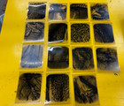 Vintage Microscope Slide Negative Lot Science Botany Plants Bugs Photomicrograph