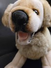 16  Fao Schwarz Golden Retriever Yellow Labrador Puppy Dog Stuffed Plush Animal