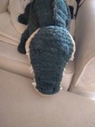 Nwt Jellycat Allexi Alligator Plush Stuffed Animal Large Authentic