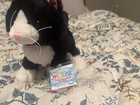 Webkinz Black   White Cat Nwt  Unused  Plush  Next   Classic Code