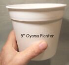 Oyama Planter Kit 5    White Self Watering Pot African Violet Free Shipping