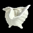 Conch Seashell Planter Shell Vintage 1980 s Atlantic Mold Ceramic Beach Decor