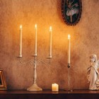 6 Pcs Battery Operated Taper Led Candles Flameless Flickering  remote Control Us