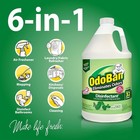Odoban Disinfectant Concentrate And Odor Eliminator 1 Gallon original Eucalyptus