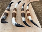 Mounted Steer Horns  one Only  29  To 34  Inch Wide Longhorn Polished Bull Cow