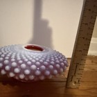 Fenton Glass Antique 50s - 60s Cranberry Hobnail Lamp Base Candle Holder Vintage