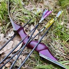 Recurve Bow Kit Adult 60   Wooden Archery Outdoor Hunting Rh Target Practice