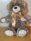 Fao Schwarz Bear That Care Teddy Bear 18  Soft Plush Brown Brand New Nwt