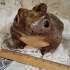 Rare Big Antique Japanese Shigaraki Clay Toad With Baby Toad On Back   Chip L Ft