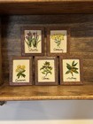 Sunset Designs Finished Crewel Embroidery Framed 5pc Spices Kitchen Wall Art Vtg