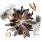 48pcs Natural Feathers Bulk - 6 Styles 48pcs Assorted Natural Feathers  Peacock