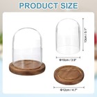 Glass Cloche Display Dome 5 1  X 3 9  Glass Dome Display Case Wood